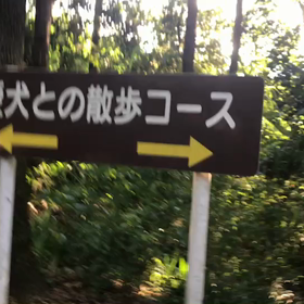 ♪お散歩動画♪砧公園♪の画像