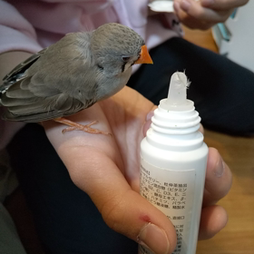 大好きなものの画像