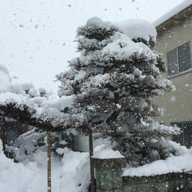 大雪景色の画像