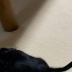 ハッピータイムの画像