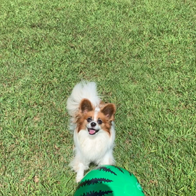 空回りと無茶苦茶の画像