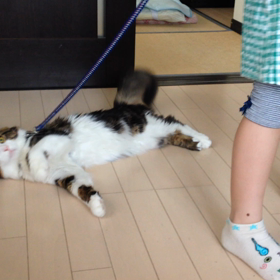 ナッツんのオレ流散歩！^ ^笑の画像