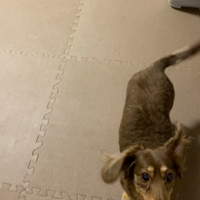 元気になってきたよ♡の画像