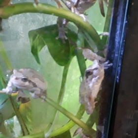 勢揃い♥️の画像