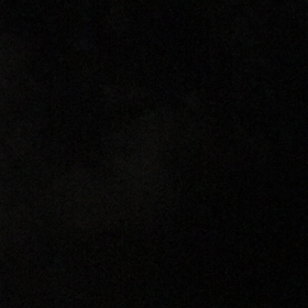 家族サービスの画像