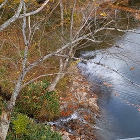 赤城から湯檜曽に来ました　①の画像