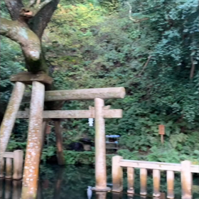 そうだ！鹿島神宮へ行こう②の画像