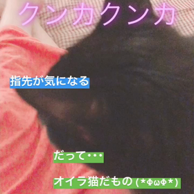 今日のクゥさんの画像