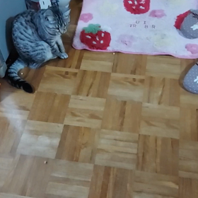 昨夜の豆まき⭐の余韻(*^^*)の画像