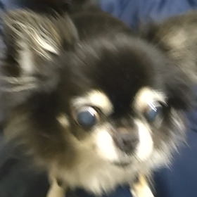 好きなものを食べると・・・の画像