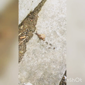 雨上がりの道の画像