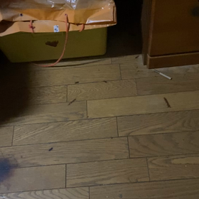 なまりでたの画像