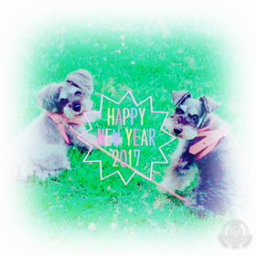 あけましておめでとうございますの画像