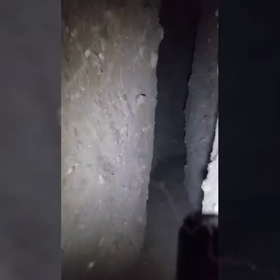 卑弥呼への道( • ̀ω•́  )✧2級編♡パート②熊本トンカラリン！！の画像