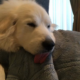 撮影拒否されちゃいました( ^ω^ )の画像