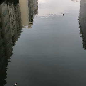 今日の新亀高橋の画像