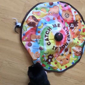 チビ黒さんは日々戦うの画像