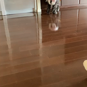 ピッカピカ！の画像