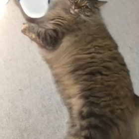 スリッパ〜の画像