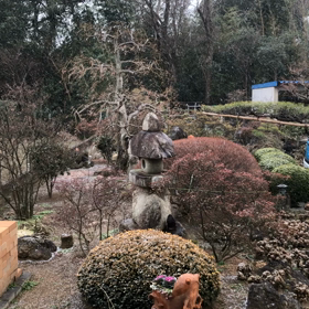 雪が降り始めましたの画像