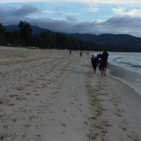 プーケット4日目③の画像