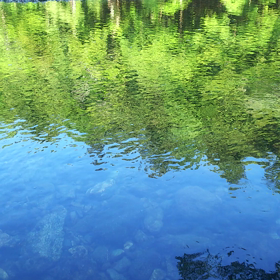浄化の旅③五十鈴川のしらべの画像