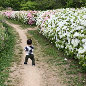 フラワーロード*の画像