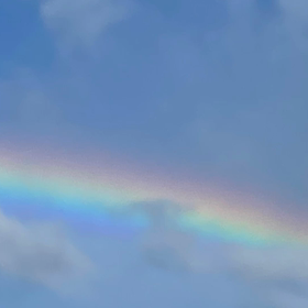 鳥のさえずり✨の画像