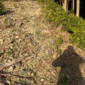 お山で迷子ちゃん回収劇の画像