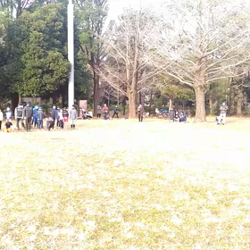 ダッシュ(紺・黄緑グループ)④の画像