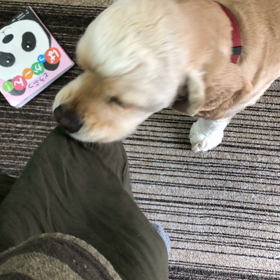 春〜のどか。の画像