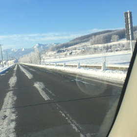 木がキレイ꒰•̫͡•ོ꒱の画像