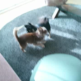 元気です。の画像