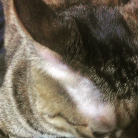 生まれてきてくれて、ありがとう！の画像