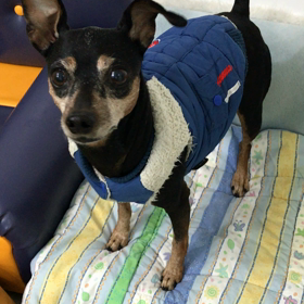 ♪プレイルーム動画♪の画像