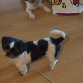 ゆずあ 成長記録 ごはん編の画像