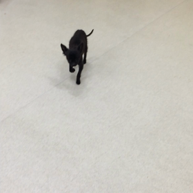 ♪プレイルーム動画♪の画像