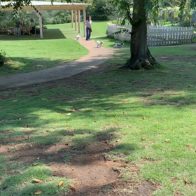 たーすけてーの画像