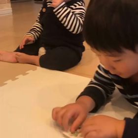 何回観ても笑えるの画像