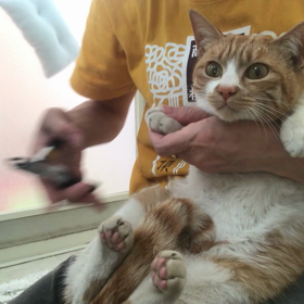 チャチャちゃんもシャンプー☺️の画像