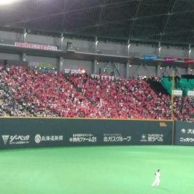 今日もドームだよ。の画像