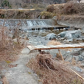 〈キャノンボールラン〉の10日前追い切り。の画像