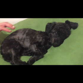 今は眠たいただそれだけ。。の画像