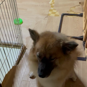 2歳最後の日の画像