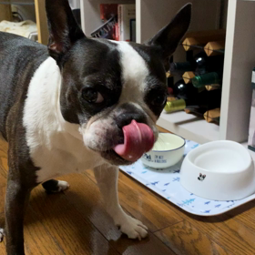 堕天使の涙と風林火山の画像