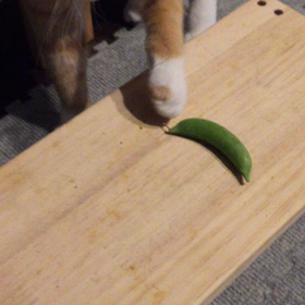 これもまた、あさぎの優しさ´ ³`)ﾉ ～♡の画像