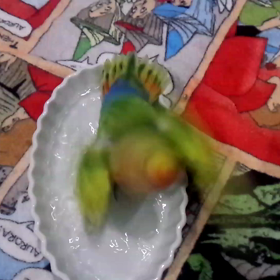 (≧∇≦)の画像