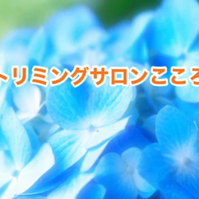 スライドショーの画像