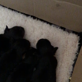 まさか！の画像