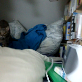 寝起きわだちの画像